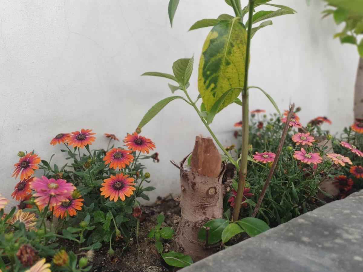 Miro B&B เลชเช ภายนอก รูปภาพ